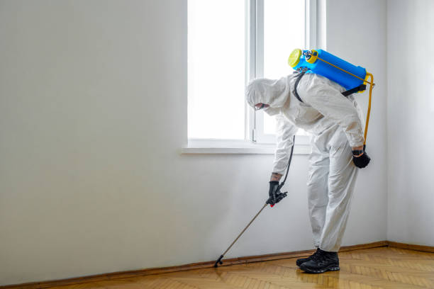 Wasp Removal Services in Channelview, TX